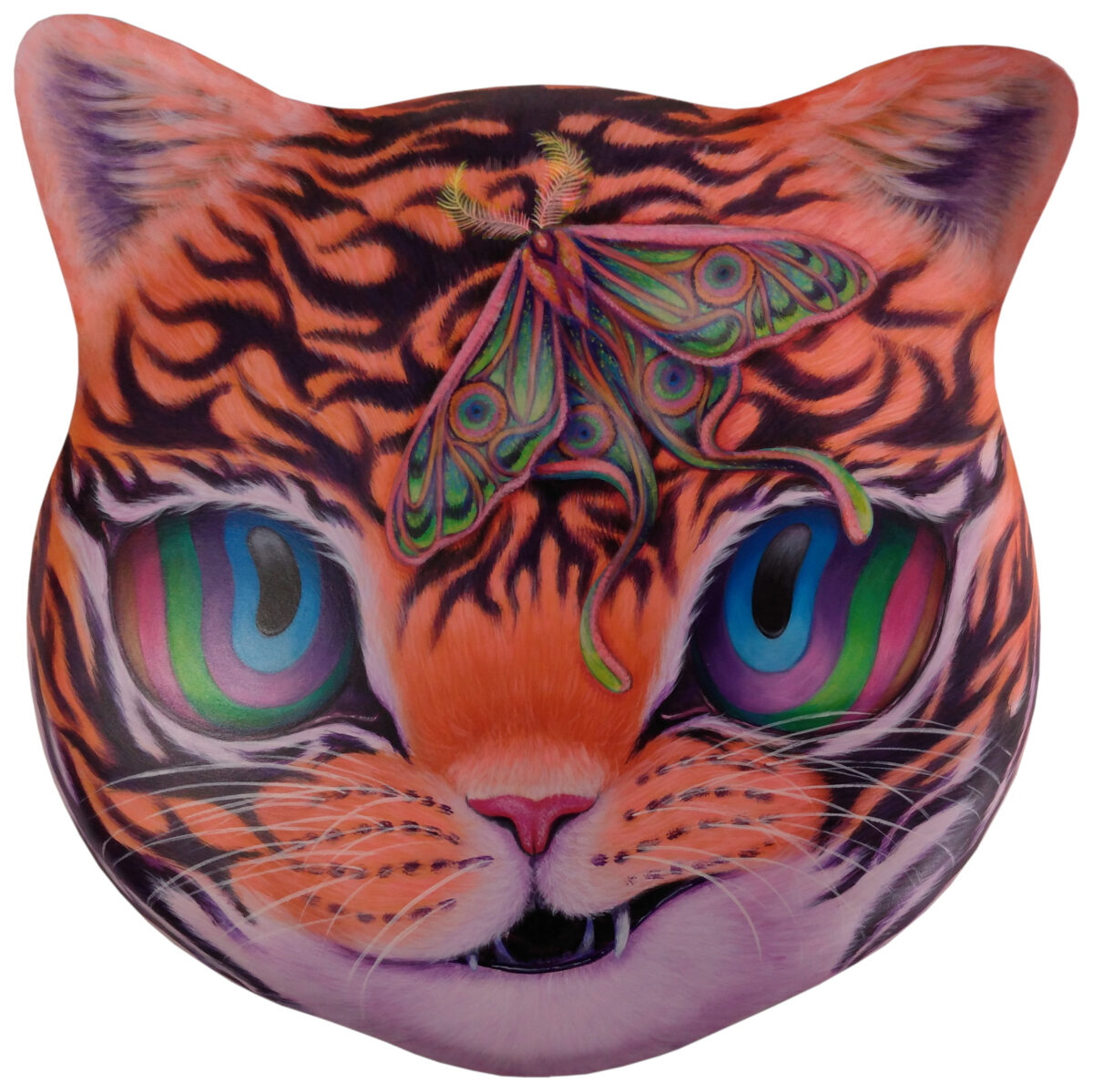 Slightly Confused and Tickled by Fate