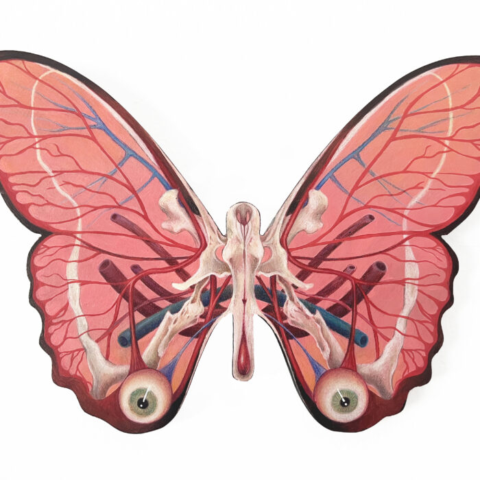 Vestibular