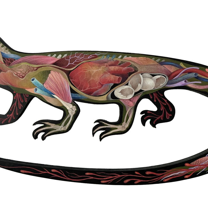 Lizard