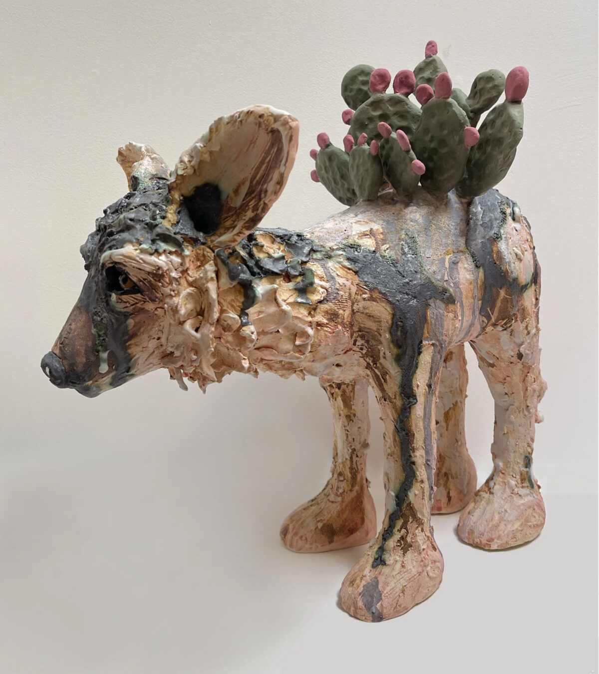 Coyote Wind