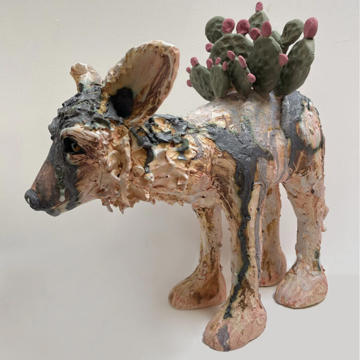 Coyote Wind